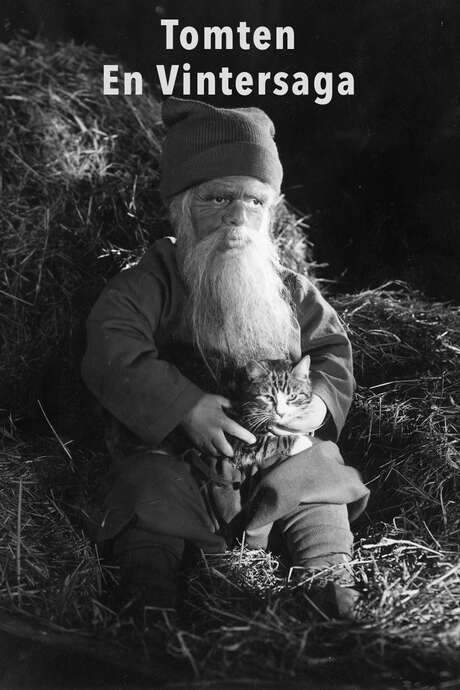 Tomten: A Winter Tale